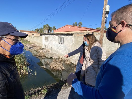 Carrasco (PP) pide al Fadrell priorizar la lucha eficiente contra los mosquitos en Castelló