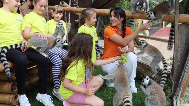 Regresa la escuela medioambiental de verano de Mundomar