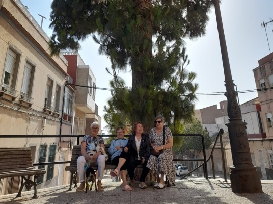 Vecinas de Quitapellejos se movilizan ante la tala de un gran pino en la entrada de la iglesia

