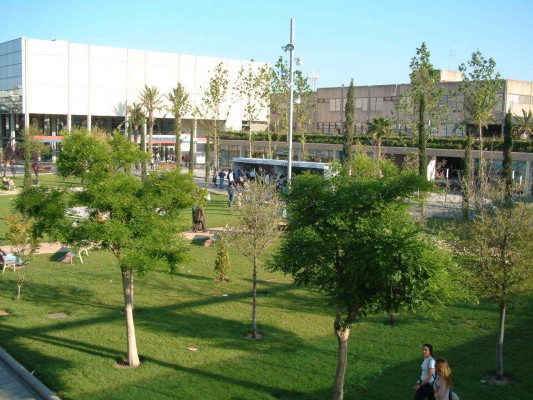 El programa de recuperación del talento del Consell se diseñará en colaboración con las universidades
