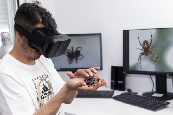 La realidad virtual, un 'insecticida psicológico' a la fobia a las cucarachas