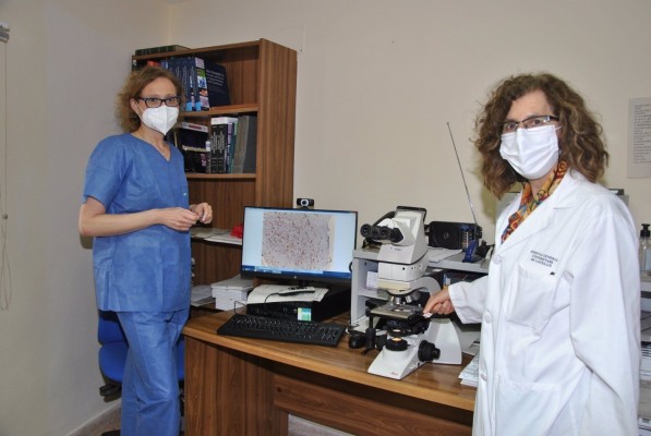 El General colabora en un estudio mundial sobre la proteína TXNDC5 para prevenir la aterosclerosis