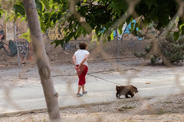La Policía Local de Cartagena pone la lupa en el cuidado de las mascotas con una campaña especial de vigilancia