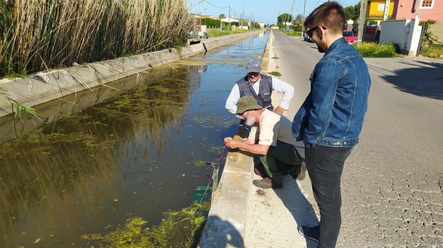 Transición Ecológica impulsa un inventario sobre la biodiversidad de la Marjaleria