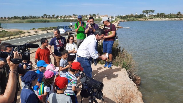Una ruta por Las Salinas de San Pedro del Pinatar muestra la necesidad de conservar los hábitats de las aves

