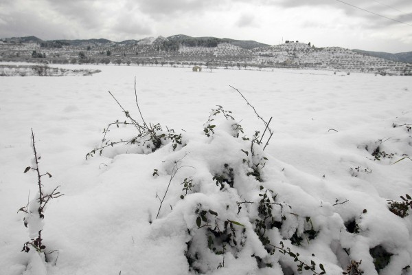 La nieve deja sin clase a 44.800 alumnos en la Comunitat Valenciana