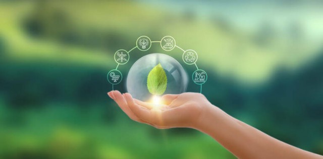 CreceStartup Agrifoodtech echa a andar con la intención de catapultar a 12 startups murcianas