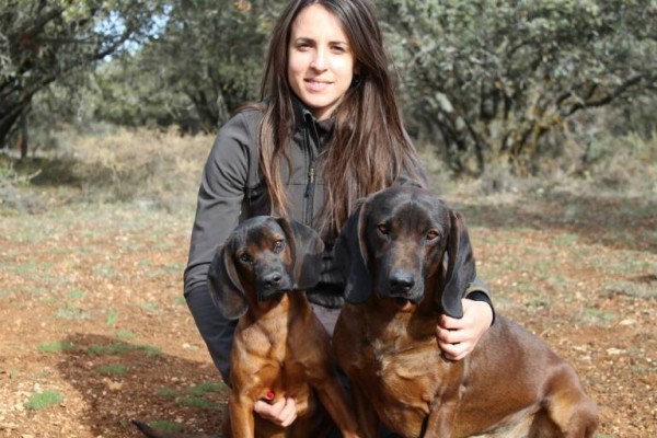 Piden que se retire el plomo de los proyectiles de caza por resultar tóxico para animales y humanos

