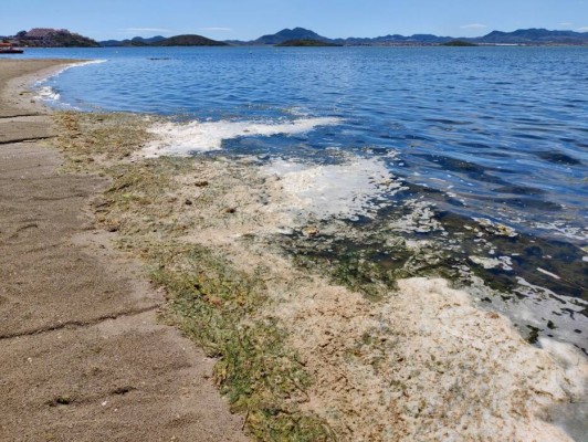 Los Alcázares da la voz de alarma sobre el Mar Menor: 