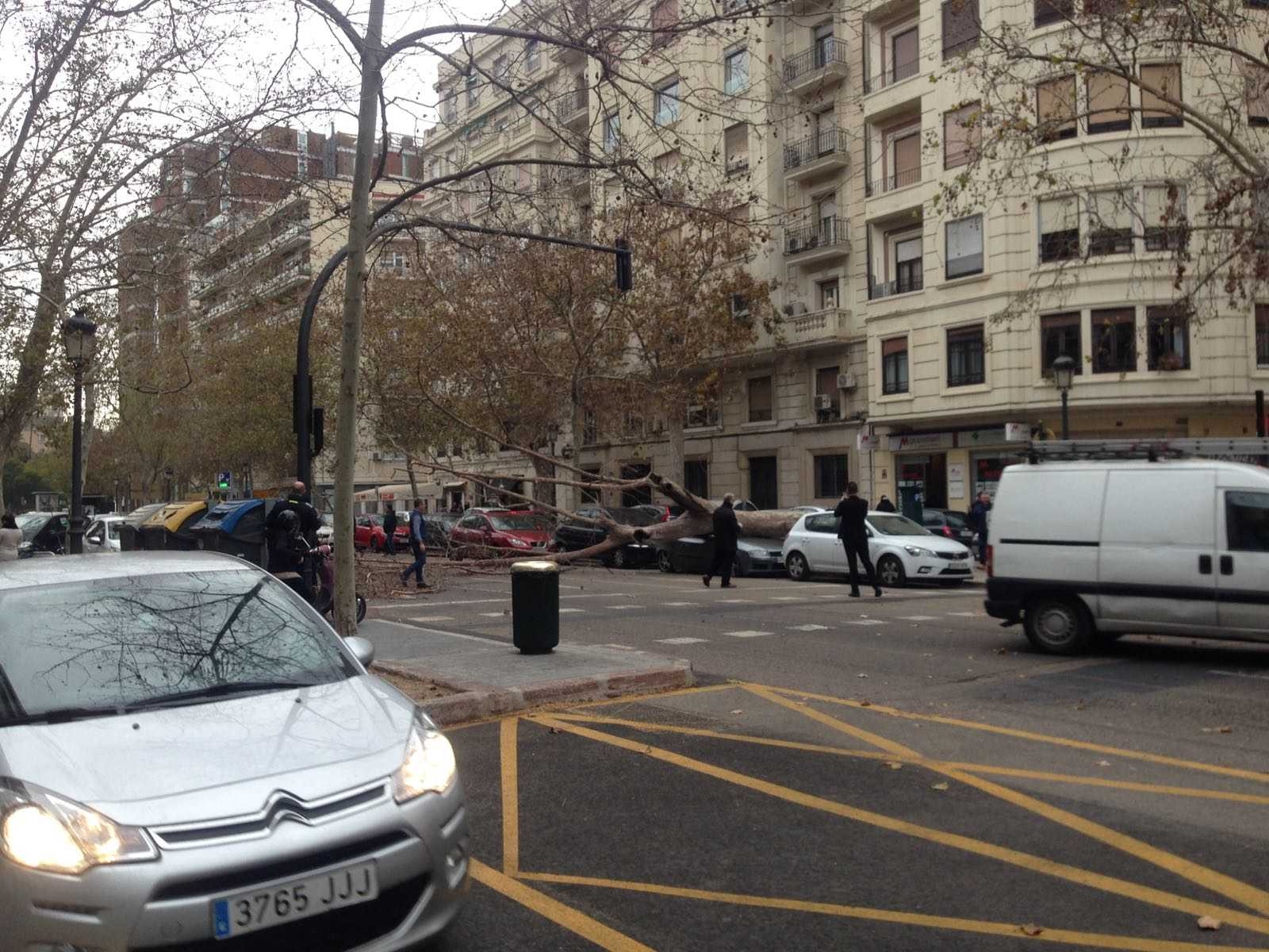 Valencia cierra al público todos los parques y jardines con valla por el fuerte viento