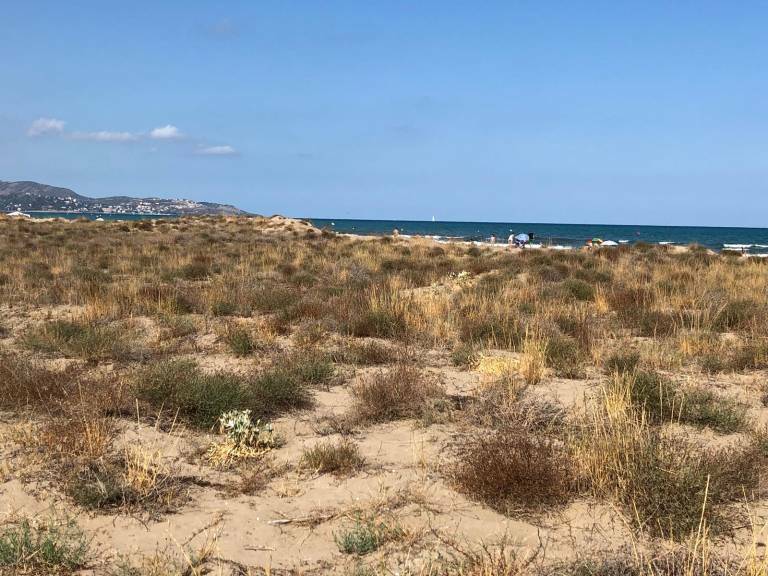 La playa del Serradal se queda sin bandera azul por tercer año pese a los esfuerzos del Ayuntamiento