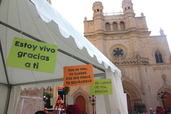 Alcer Castalia impulsa una marcha solidaria para sensibilizar en torno a la donación de órganos