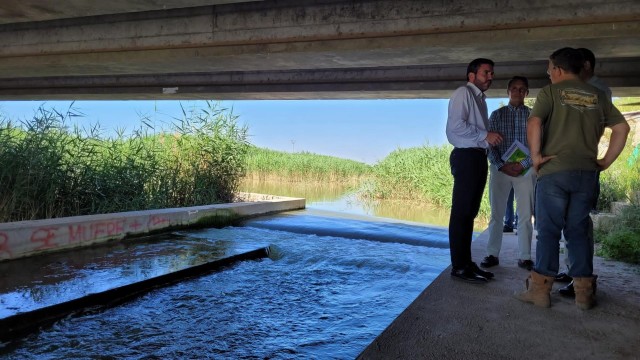 La paralización del bombeo en la rambla del Albujón dispara la proliferación de algas en el Mar Menor