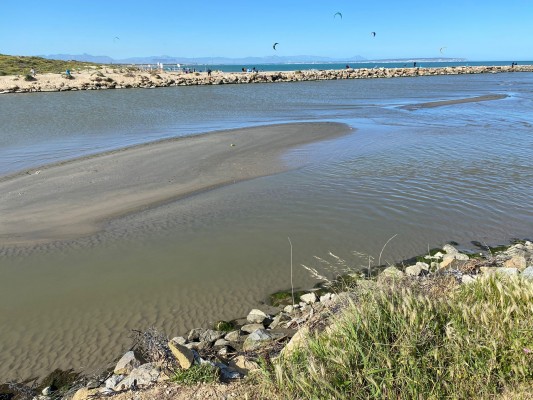 Guardamar urge a la CHS a que acometa obras de dragado en la desembocadura para evitar futuras inundaciones 
