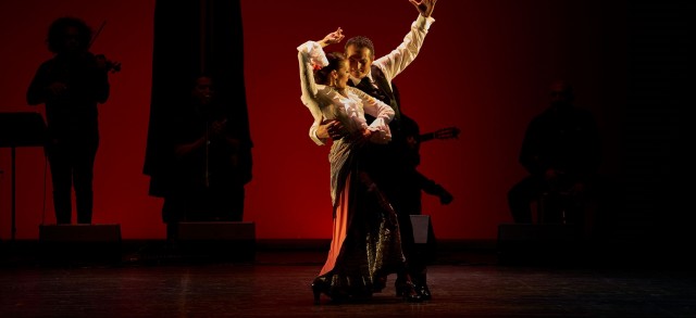 Asun Noales, Pepa Sanz, Daniel Doña o Cristian Cano bailan el homenaje flamenco a José Soriano
