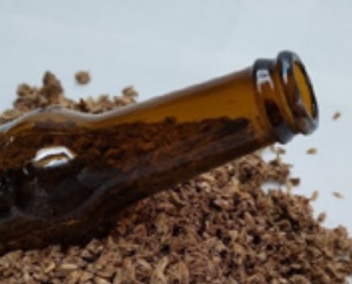 Los residuos de la cerveza pueden dar ingredientes prebióticos y probióticos