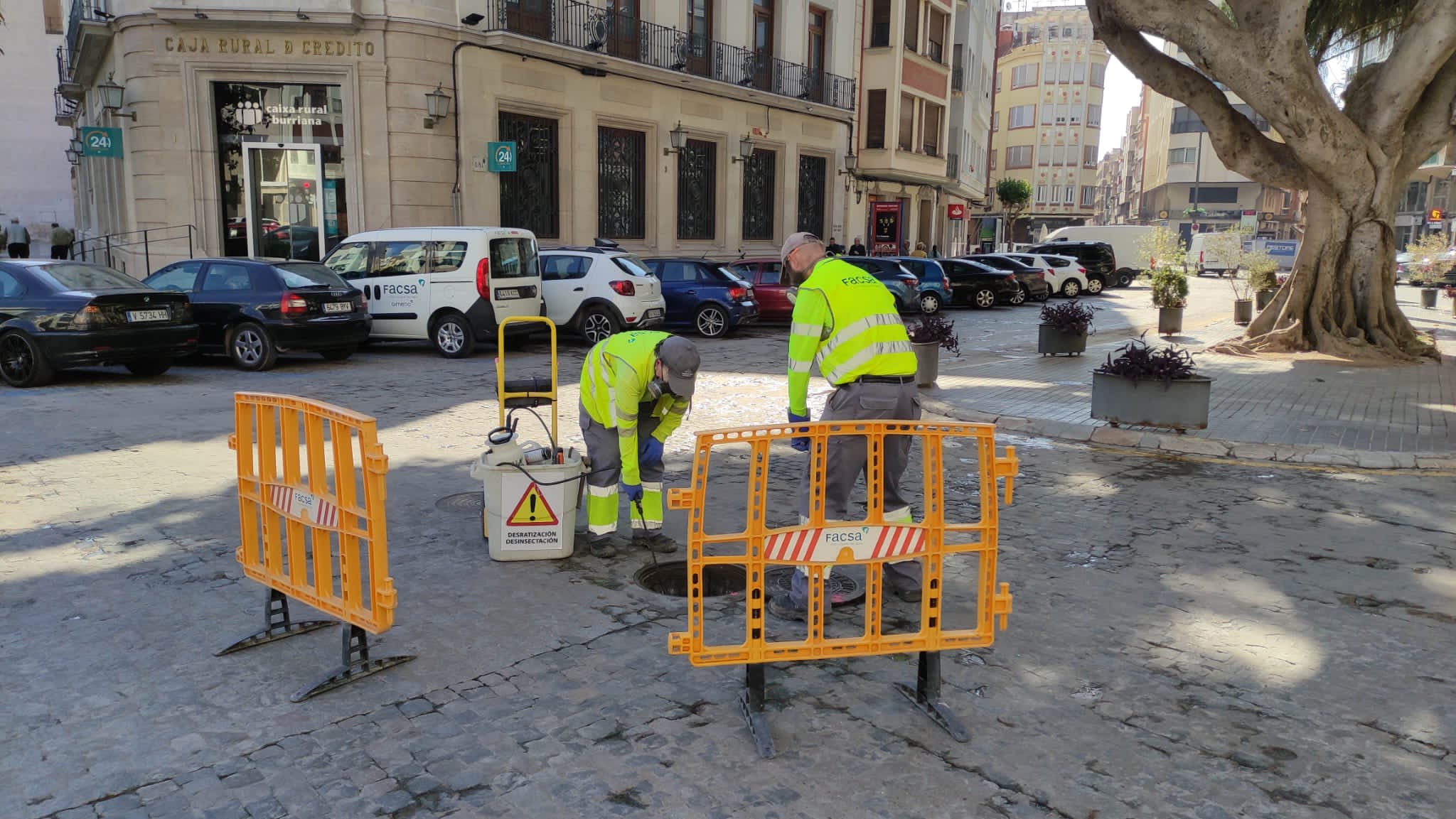 Burriana intensifica los trabajos para combatir las plagas de ratas y cucarachas en el alcantarillado