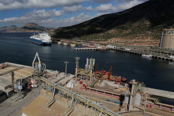 El Puerto invierte más de 3 millones en mantenimiento y limpieza de sus edificios, zonas verdes e instalaciones eléctricas