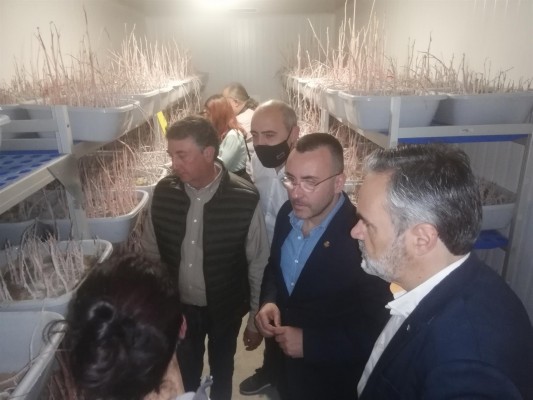 La Diputación duplica el presupuesto destinado a las cooperativas citrícolas con 100.000 euros