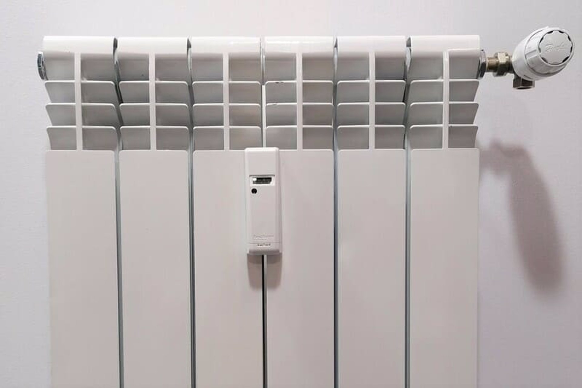 Imagen de archivo. - 