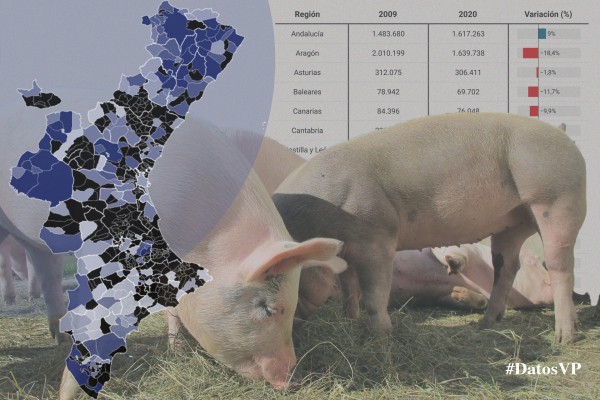 El mapa de la ganadería valenciana: la industria porcina empuja a un sector cada vez menos familiar