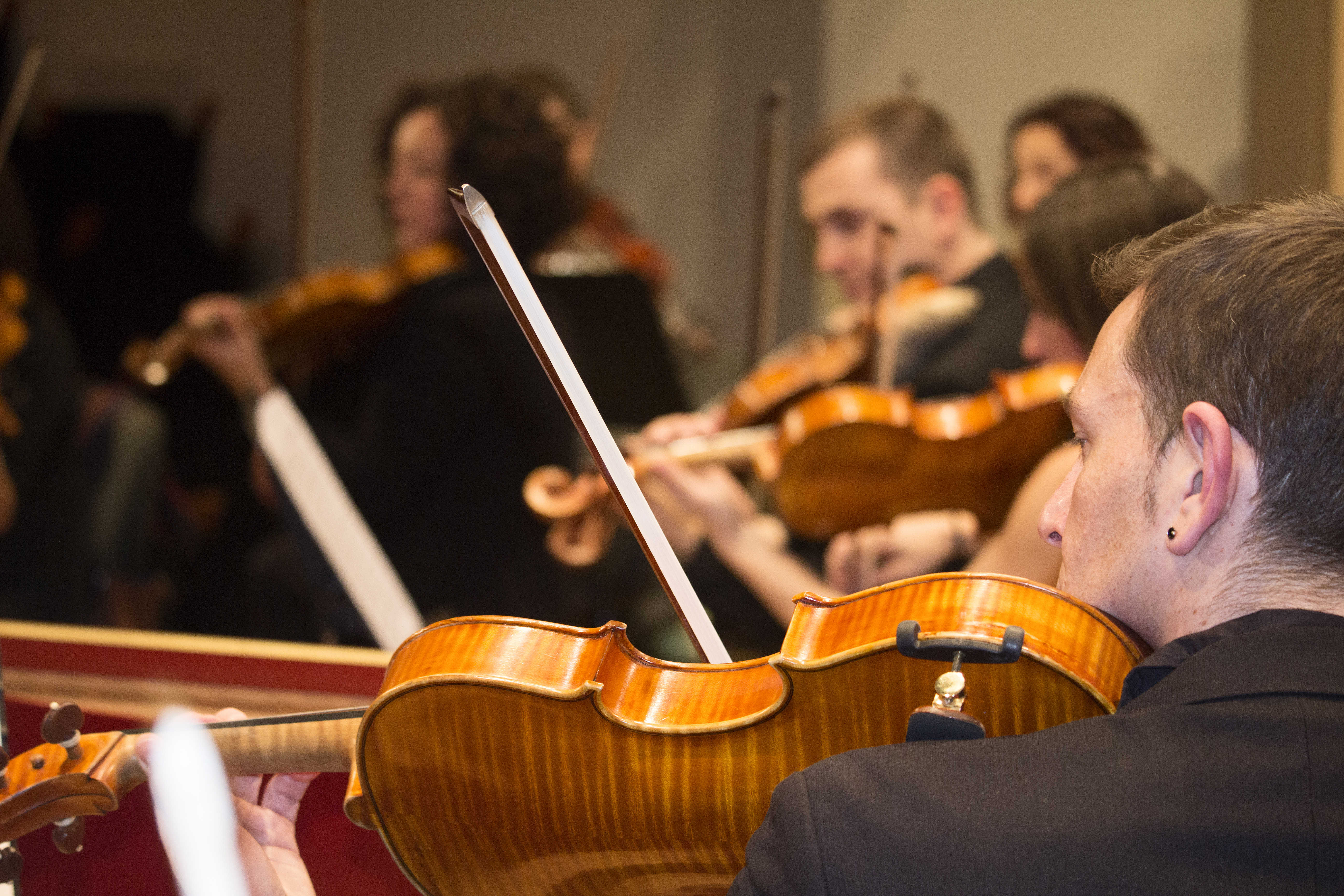 El Palau de la Música estrena una 