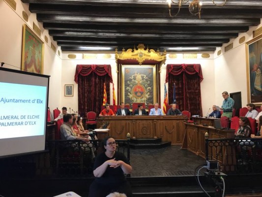 Arquitectos, agricultores y vecinos también piden entrar en el nuevo Patronato del palmeral de Elche