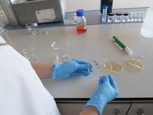 La 'startup' Oscillum, de la UMH, seleccionada para participar en el programa 'Desafía Foodtech 2022'