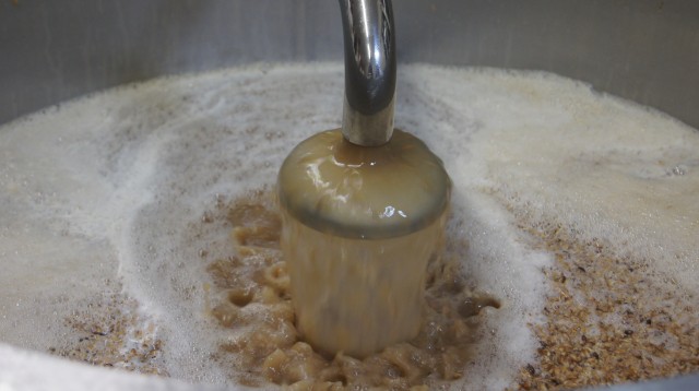 Bioithas, Aiju y la UPV crean probióticos con residuos de la fabricación de cerveza 
