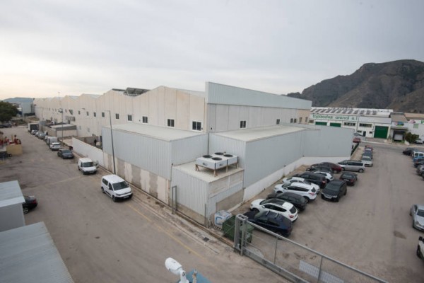 La Vega Baja, la quinta comarca en incremento de nuevas empresas respecto al primer trimestre de 2021