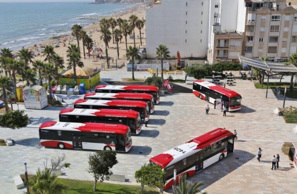 Torrevieja licita por 16 millones la compra de 32 autobuses que cederá a la adjudicataria del servicio de transporte urbano