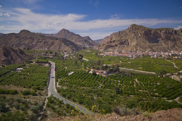 Pedirán la inclusión del Valle de Ricote como patrimonio agrícola mundial