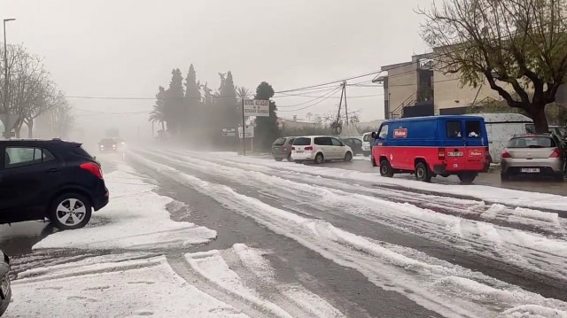 Un tornado arrasa una zona de frutales y pinos en la zona de Pliego 
