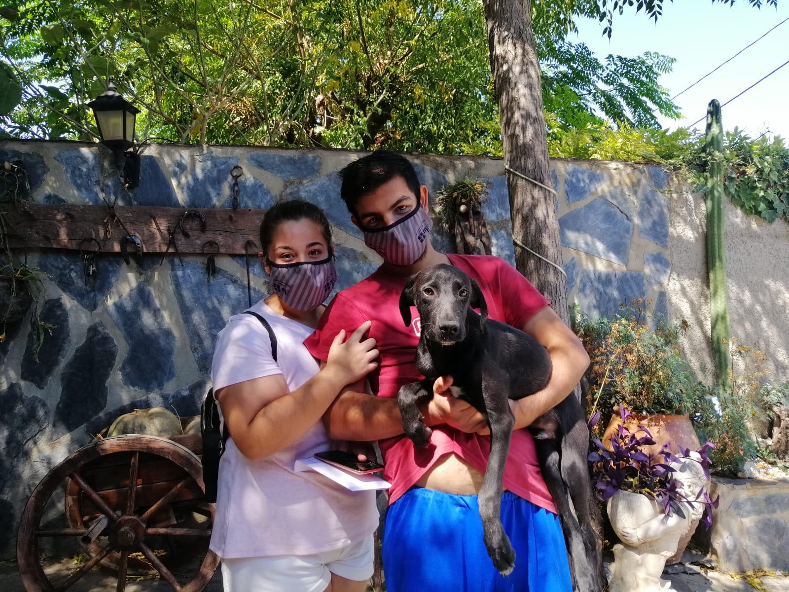 Onda encuentra una nueva familia a 83 mascotas abandonadas en el último año