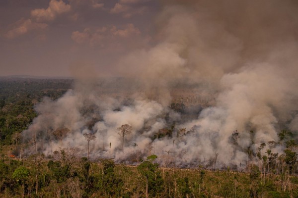 Activistas brasileños detallarán a Garzón el impacto de la ganadería europea en el Amazonas