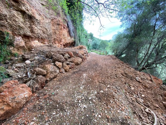 La ruta Botánica de Vila-real abre de nuevo al público tras ocho meses cerrada por obras