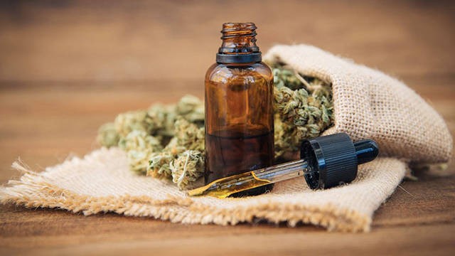 La tecnología agrícola murciana ya mira con deseo al cannabis medicinal