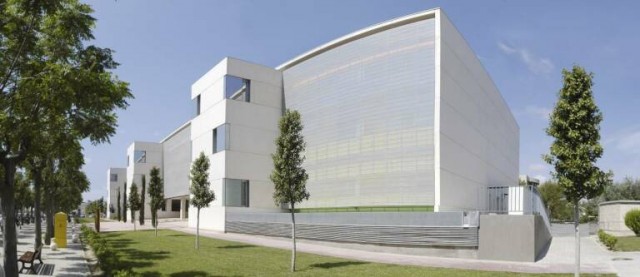 Investigadores del Instituto de Neurociencias descubren unas moléculas que regulan el exceso de células madre y progenitoras neurales