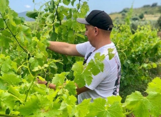Les Coves de Vinromà acogerá las I Jornadas de Innovación Agroalimentaria en el marco de la Feria Destaca

