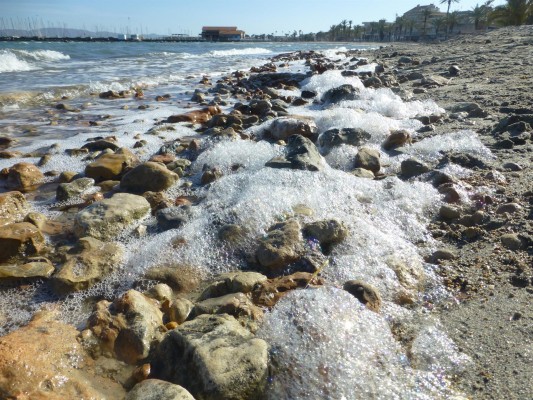 El Instituto de Oceanografía confirma el riesgo de otra anoxia en el Mar Menor