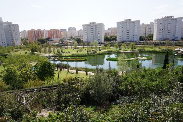 'Encuentros para la biodiversidad' analiza el parque inundable de La Marjal en Alicante