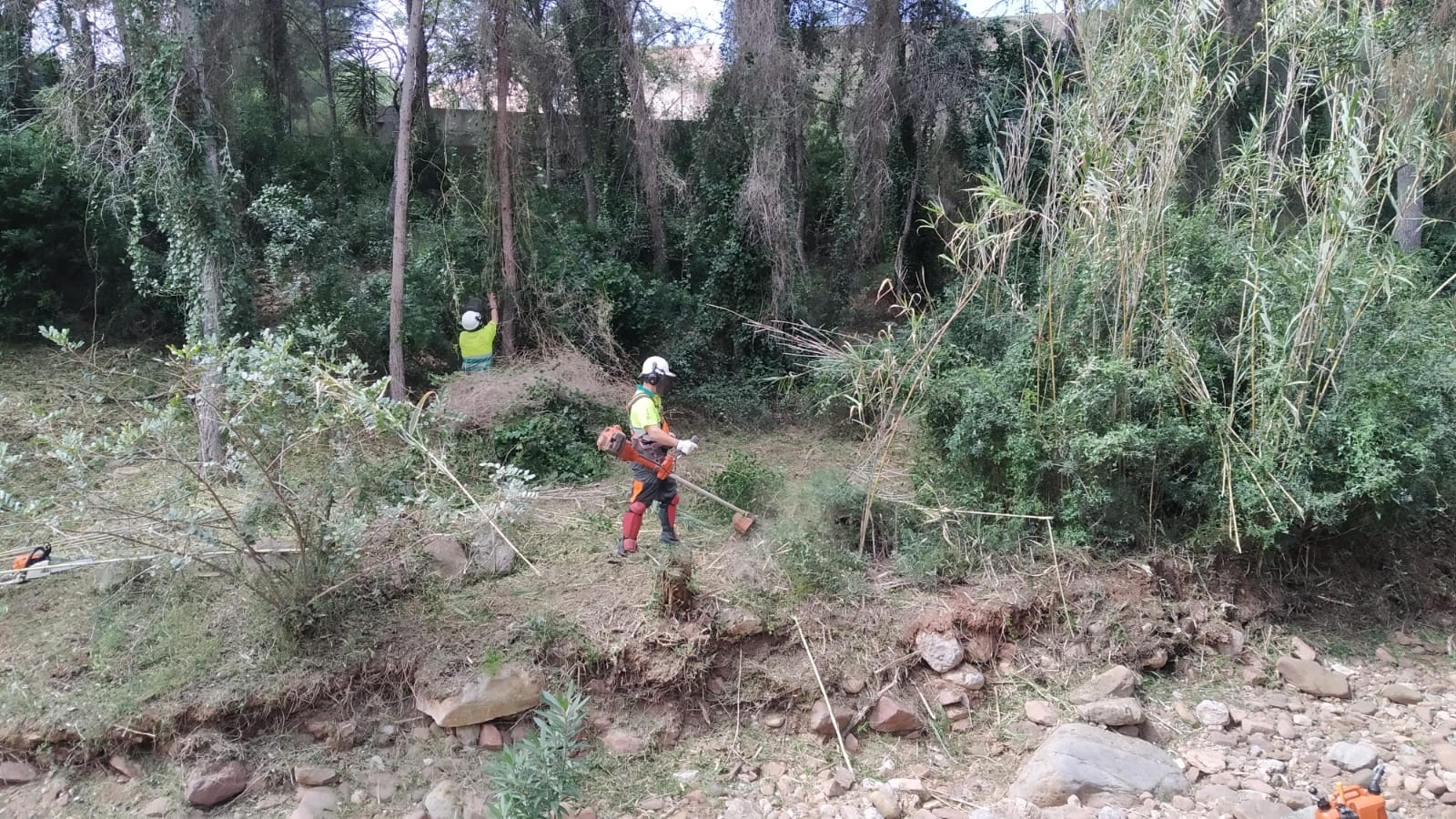 Benicàssim intensifica la limpieza en barrancos urbanos y perímetro de las urbanizaciones de montaña