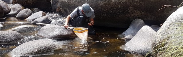 La UMH busca dotarse de un servicio de material para secuenciar muestras marinas ambientales