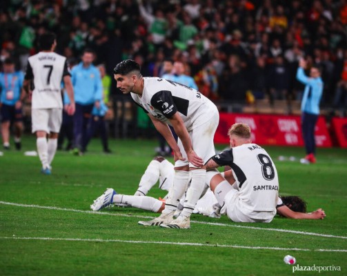 Tres tristes tigres

