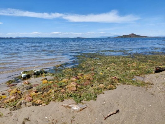 El Mar Menor: compatible con el progreso humano