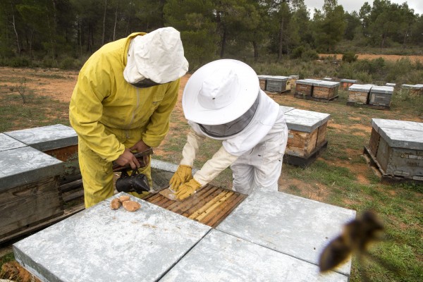 Se buscan a los mejores productores sostenibles
