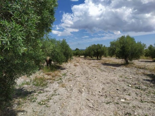Emprender en la España rural