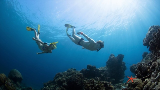 El buceo de Cabo de Palos 'saca' la cabeza tras dos años de pandemia y restricciones