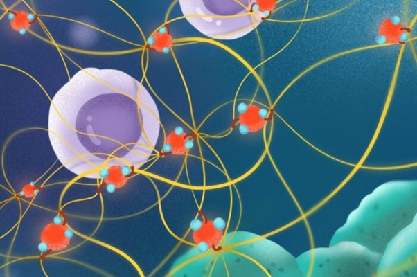 Identifican un mecanismo que explica cómo las partículas de contaminación del aire pueden causar cáncer
