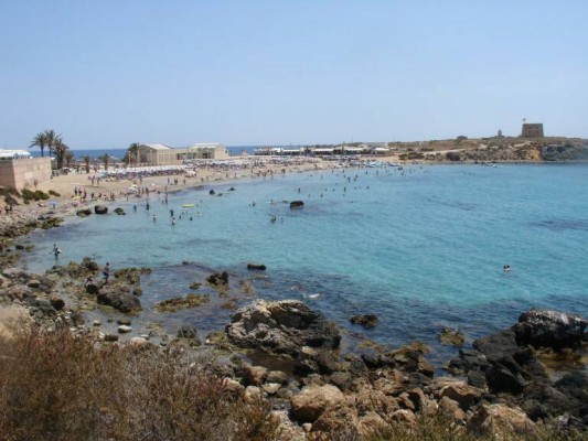 El PSOE de Alicante califica de obsoleta la ampliación de la conducción submarina de Tabarca 
